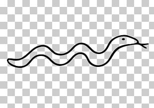 Snake Giant Panda Reptile Free Content PNG