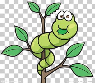 Worm Cartoon Illustration PNG