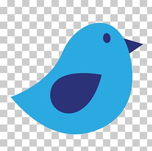 Bird Drawing PNG