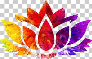 Flower Nelumbo Nucifera Light Computer Icons PNG
