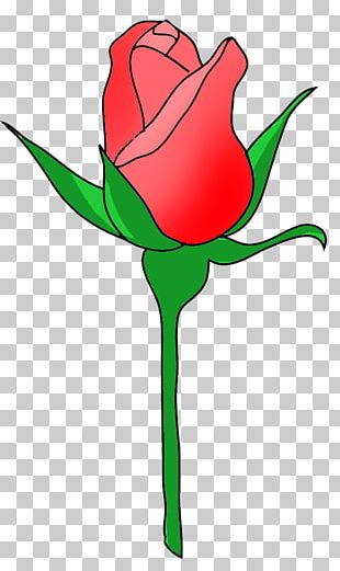 Bud Rose Flower PNG