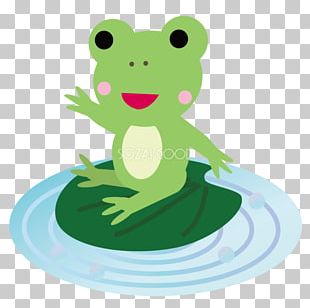 Frog Cartoon Surface Water PNG