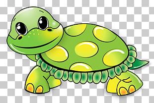 Old Turtle PNG
