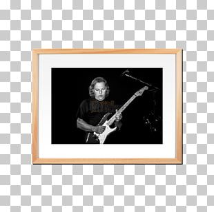 AccorHotels Arena Photography Actuacions De Pink Floyd Concert PNG