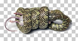 Snake Constriction PNG