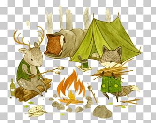 Adventures With Barefoot Critters Bird By Bird Childrens Literature Alphabet Book Illustration PNG