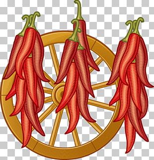 Birds Eye Chili Serrano Pepper Chile De Xe1rbol Tabasco Pepper Cayenne Pepper PNG
