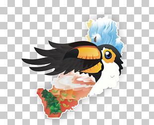 Misiones Province Toucan Tourism Beak PNG