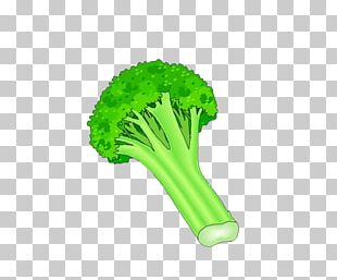 Broccoli Vegetable PNG