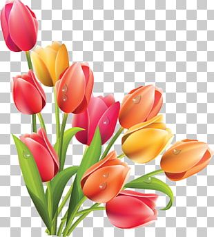 Easter Bunny Easter Lily Flower PNG