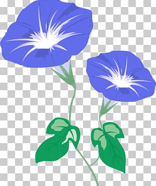 Mochi Japanese Morning Glory Senbei é«˜ç ‚è£½è“ãˆ± PNG