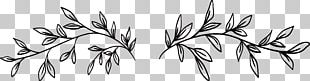 Leaves And White Flowers PNG, Clipart, Flower, Flowers, Flowers Clipart ...