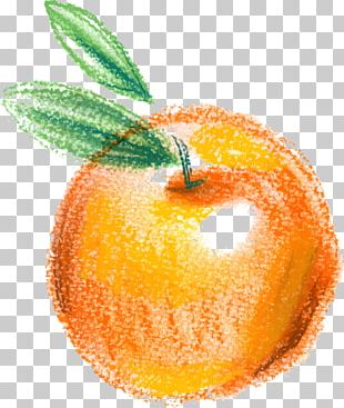 Clementine Apple Icon PNG
