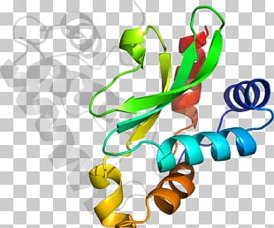 Food Plant Stem PNG