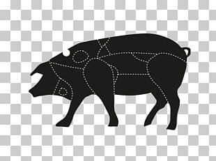 camera flash clipart black and white pig