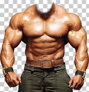 Bodybuilder PNG Images, Bodybuilder Clipart Free Download