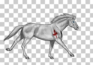 Mane Foal Mustang Pony Stallion PNG