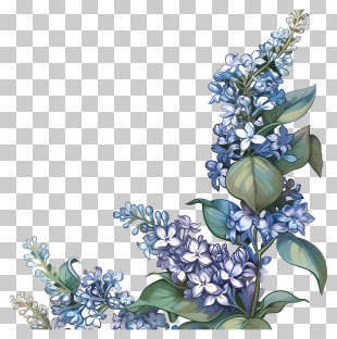Lilac Flowers - Purple Lilac Flowering Branch Illustration PNG