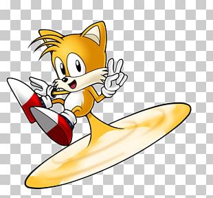 Sonic the Hedgehog illustration, Sonic the Hedgehog Tails the Crocodile  Running, Animated People Running, marine Mammal, mammal, carnivoran png