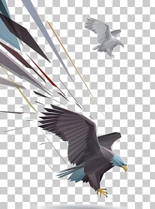 Flying