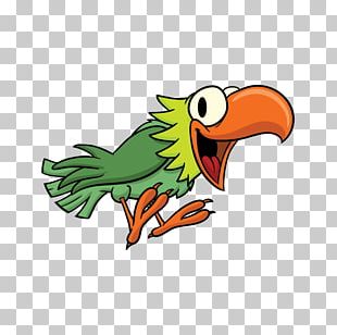 Macaw Parrot Drawing PNG