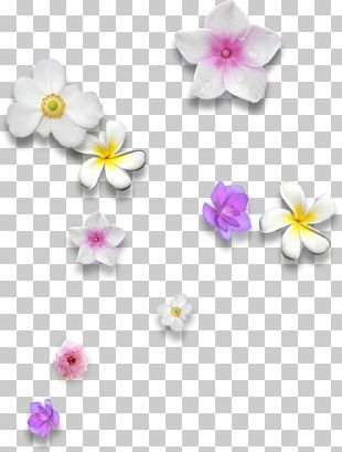 Floral Scent PNG Images, Floral Scent Clipart Free Download