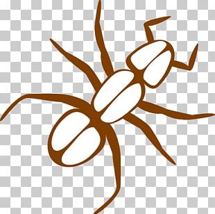 Insect Cartoon Pest Animation Membrane-winged Insect PNG, Clipart ...