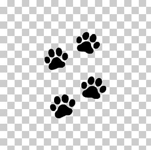 Bear Animal Track Squirrel Footprint PNG, Clipart, Animal, Animal Track ...