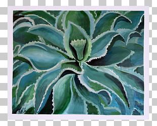 agave azul png images agave azul clipart free download agave azul png images agave azul