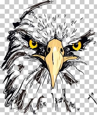 Logo Golden Eagle PNG, Clipart, Animals, Bird Of Prey, Blackandwhite ...