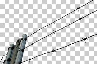 Barbed Wire Concertina Wire Barbed Tape Chain Link Fencing PNG Clipart Barbed Wire Black And