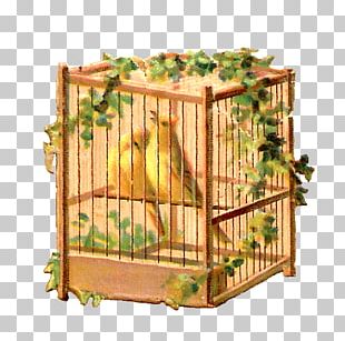 Birdcage Paper Birdcage PNG