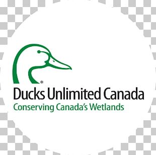 Ducks Unlimited png images