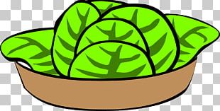Fruit Salad Chicken Salad Potato Salad Bowl PNG