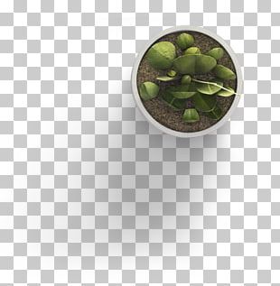 Template Plant User Interface PNG
