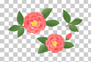 Pink Flowers - Red Flowers With Green Leaves PNG