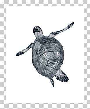 Sea Turtle Hawaii Drawing PNG, Clipart, Animal, Animals, Art, Artwork ...