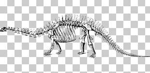 Brontosaurus Apatosaurus Tyrannosaurus Dinosaur PNG, Clipart, Animal ...