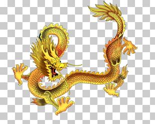 China Chinese Dragon Japanese Dragon PNG, Clipart, Art, Auspicious ...