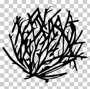 Tumbleweed Drawing Art Png, Clipart, Animals, Art, Black And White 