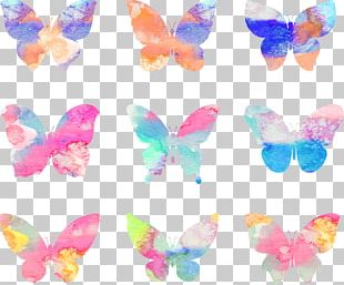 Butterfly Watercolor Painting PNG