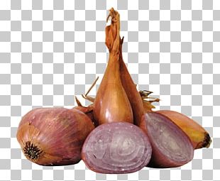 cluster of shallots 28828931 PNG