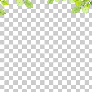 Area Leaf Pattern PNG