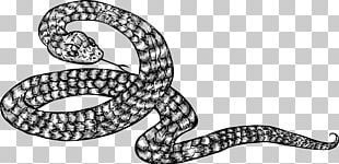 Vipers Snakes Softball Rattlesnake PNG, Clipart, Baseball, Baseball ...