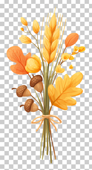 Wheat Corn Tied With Twine - Autumn Harvest Bouquet Illustration PNG