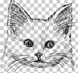 Cat Kitten Watercolor Painting Drawing PNG, Clipart, Animals, Art ...