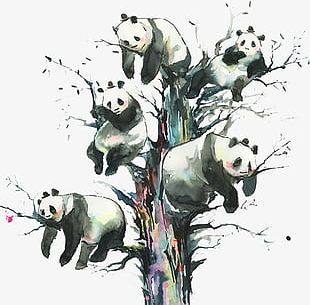 Panda PNG