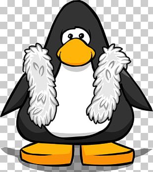Bird Cartoon png download - 2220*2106 - Free Transparent Club Penguin png  Download. - CleanPNG / KissPNG