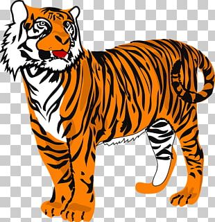 Bengal tiger on a transparent background. by ZOOSTOCK on DeviantArt