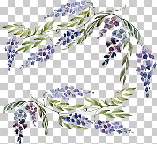 Watercolor Wisteria PNG Images, Watercolor Wisteria Clipart Free